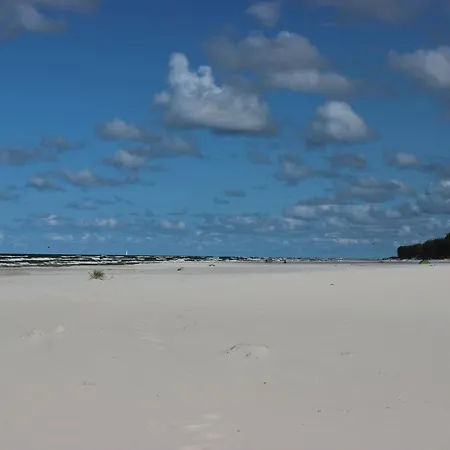 Brzozowa Polana Holiday home *