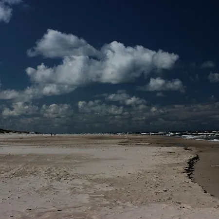 Brzozowa Polana Holiday home *