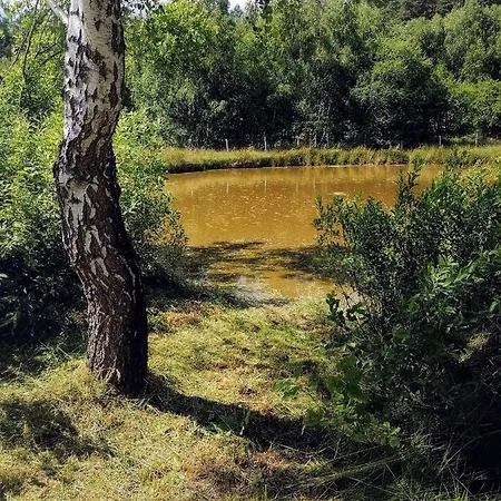 בית נופש Brzozowa Polana Perlino