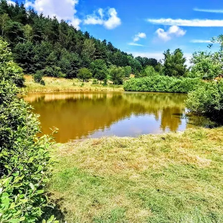 Brzozowa Polana Holiday home *