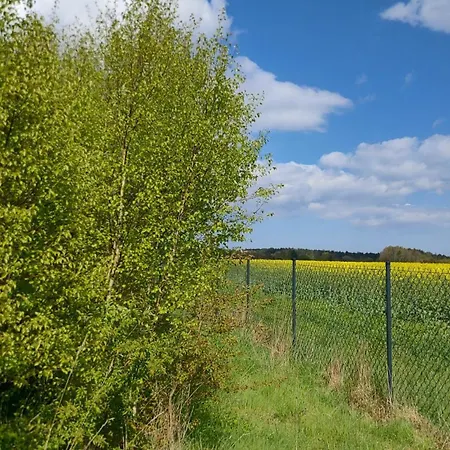 Ferienhaus Brzozowa Polana Perlino