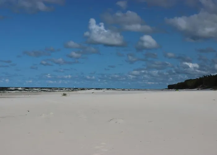 Brzozowa Polana Dom wakacyjny *