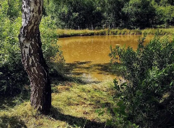 Dom wakacyjny Brzozowa Polana Perlino