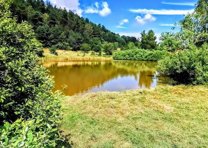 Brzozowa Polana Dom wakacyjny *