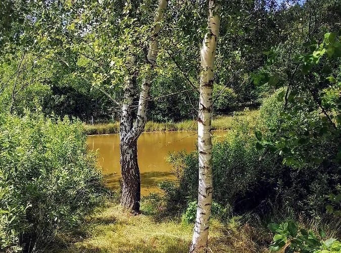 Brzozowa Polana Dom wakacyjny Perlino