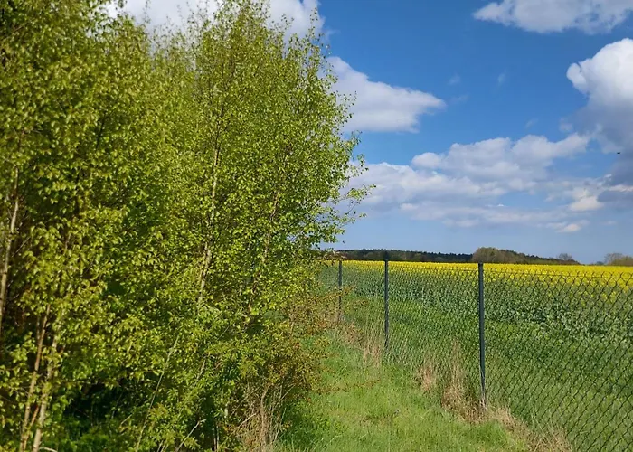 بيت للعطل Brzozowa Polana Perlino